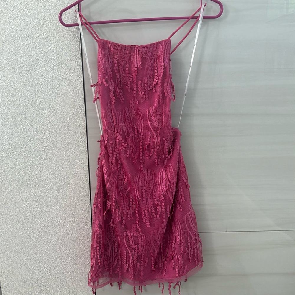 Lulus backless, pink fringe mini dress